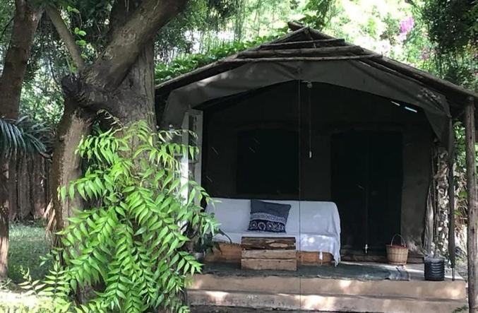 Firefly Boutique Lodge Bagamoyo Kültér fotó